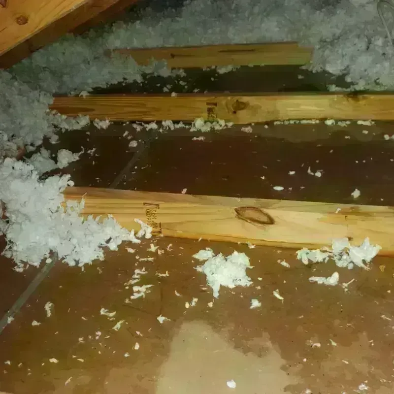 Attic Water Damage in The Hills, TX