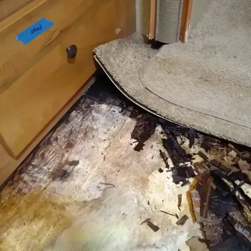 Best Wood Floor Water Damage Service in The Hills, TX